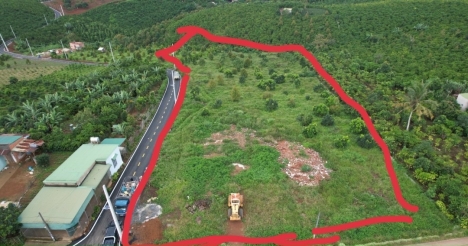 Nhanh tay nhanh tay Sành Villa Bảo Lộc 6.333m2