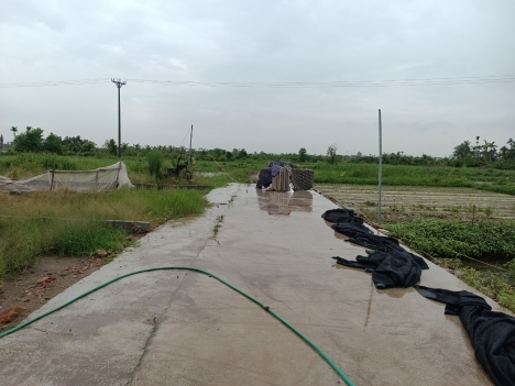 ngõ 40 trục đường quyết tiến 2 hợp đức Đồ Sơn Hải Phòng . chỉ có 980tr