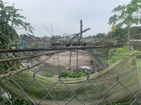 Bán đất sân bay Long Thành cho nhà đầu tư