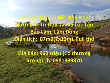 Cần Bán Gấp Lô Đất Nền Nghỉ Dưỡng Vị Trí Đẹp Tại Xã Lộc Tân Bảo Lâm, Lâm Đồng