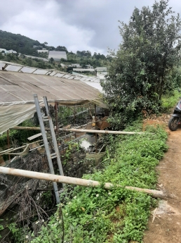 Giảm giá bán gấp đất NN đường Trần Thái Tông, P10, Đà Lạt 160m2 giảm chỉ còn 1,28 tỷ