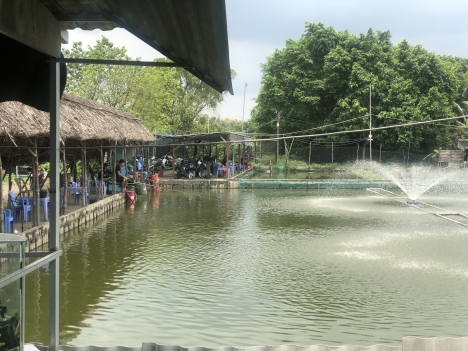 Phần mềm tính tiền cho Hồ Câu - Bán Toàn Quốc