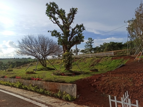 Cần Bán Gấp Lô Đất Nền Nghỉ Dưỡng Vị Trí Đẹp Tại Xã Lộc Tân Bảo Lâm, Lâm Đồng