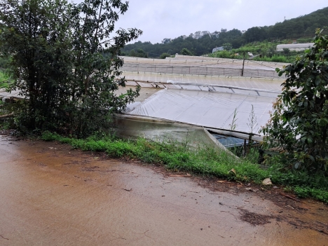 Giảm giá bán gấp đất NN đường Trần Thái Tông, P10, Đà Lạt 160m2 giảm chỉ còn 1,28 tỷ