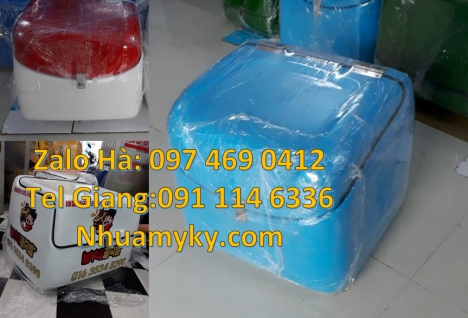 Thùng ship hàng giữ nhiệt, Thùng giao bưu phẩm Thùng giao hàng hỏa tốc, Thùng chở hàng giữ nhiệt đa