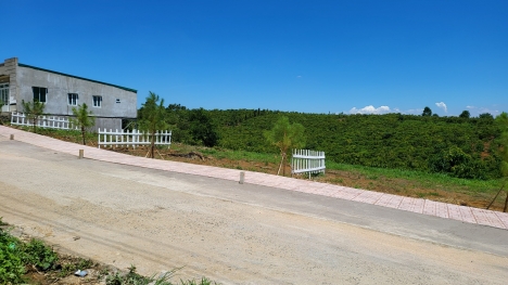 Chính chủ bán đất làm nhà , thổ cư đường 6m thông .