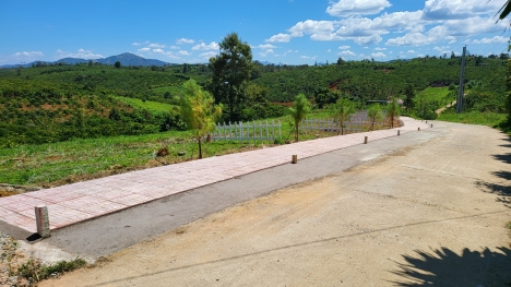 Chính chủ bán đất làm nhà , thổ cư đường 6m thông .