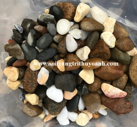 Sỏi trang trí cảnh quan tại tphcm