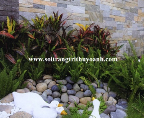 Sỏi trang trí cảnh quan tại tphcm