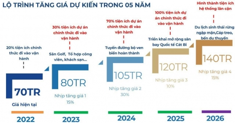 căn hộ shophouse đồi rồng đồ sơn,giá đẹp, đầu tư sinh lời ngay,tỉ suất sinh lời cao
