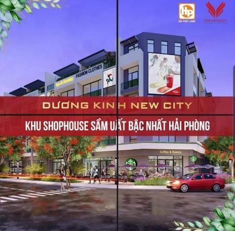Chính chủ bán LK tại dư án Anh Dũng 6 Hải Phòng