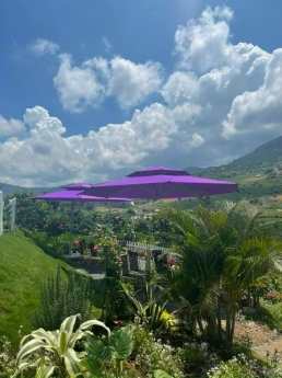 Cần bán căn nhà gỗ sân vườn ở Nam Ban Lâm Hà, Lâm Đồng, giá 8,6 tỷ