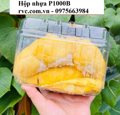 Hộp nhựa đựng trái cây cao cấp giá tốt nhất toàn quốc