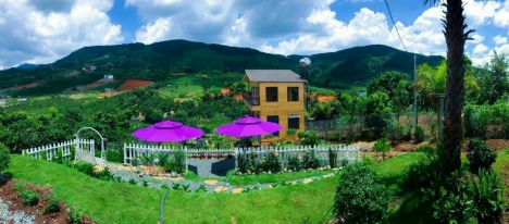 Cần bán căn nhà gỗ sân vườn ở Nam Ban Lâm Hà, Lâm Đồng, giá 8,6 tỷ