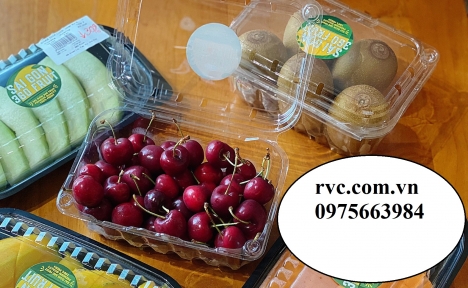 Hộp nhựa đựng trái cây cao cấp giá tốt nhất toàn quốc