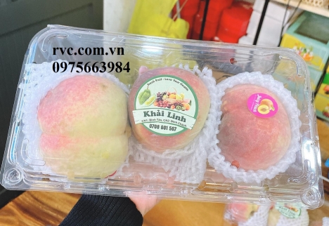 Hộp nhựa đựng trái cây cao cấp giá tốt nhất toàn quốc