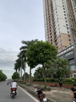 Siêu Phẩm Mặt Phố Ngô Thì Nhậm, 2 Mặt Tiền, Kinh Doanh Cực Đỉnh, 100m2, 3 Tầng, MT 8m, 22 Tỷ