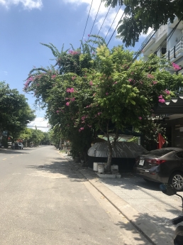 Đất rộng cực hiếm khu vưc Khuê Trung - ngang 42m - phù hợp xây trụ sở công ty, showroom, siêu thị -