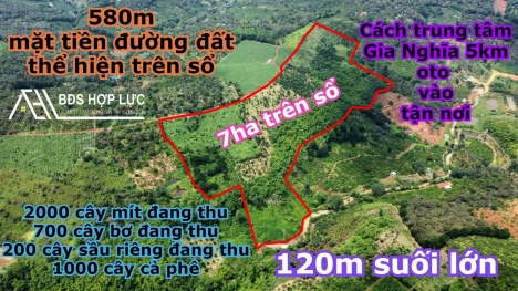 Bán 7ha trên sổ, thực tế 8ha tại Nghĩa Tín phường Quảng Thành, Gia Nghĩa. Đắk Nông