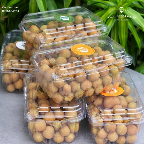 Hộp nhựa đựng trái cây cao cấp giá tốt nhất toàn quốc