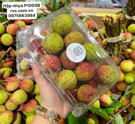 Hộp nhựa đựng trái cây cao cấp giá tốt nhất toàn quốc