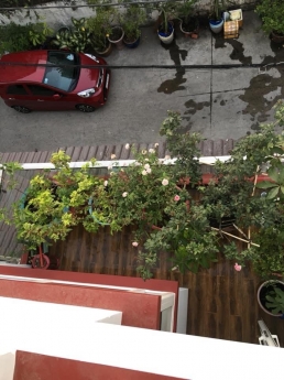 Hẻm xe hơi 5m quận 1 siêu hiếm đường Dương Bá Trạc 4,2x18m 3 lầu sân thượng nhà đẹp giá 11.5 tỷ