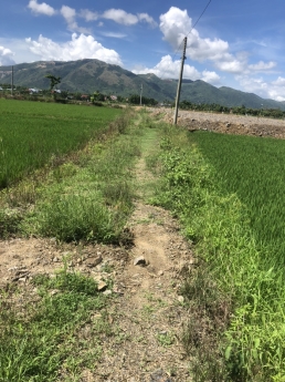 Bán đất xã Diên Phú, Diên Khánh có sẵn nhà Yến đang thu hoạch đều đặn, giá đầu tư hấp dẫn