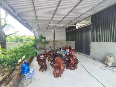 tổ 9 truòng sơn  hòa nghĩa dương kinh HP  . nhà vườn