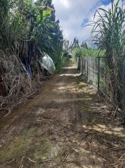 Cần bán đất NN giá rẻ khu Làng Hoa Vạn Thành, Đà Lạt giá chỉ 450 triệu