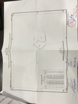 MẢNH 297M2 ĐÓN SÓNG (SAPA2)