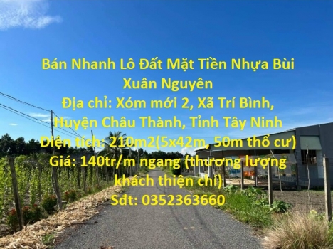 Bán Nhanh Lô Đất Mặt Tiền Nhựa Bùi Xuân Nguyên