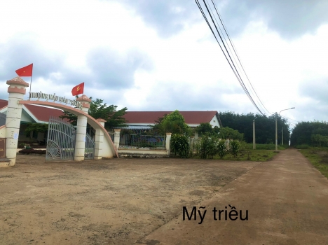 Đất RẺ ĐẸP GIÁ TỐT cho khách chốt nhanh : 250 m2 ngay chợ krong năng giá chỉ 1 TỶ 8