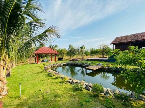 Bán Đất sào,mẫu Xuân Tây,Cẩm Mỹ ,Đồng Nai