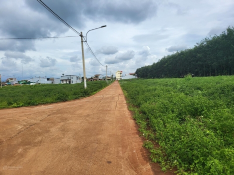 Đất RẺ ĐẸP GIÁ TỐT cho khách đầu tư trung tâm chợ KRONG NĂNG