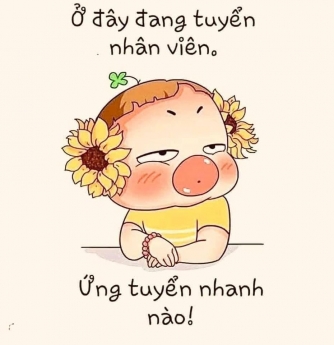 Tuyển dụng nhân viên văn phòng làm việc tại vĩnh yên