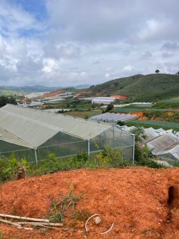 Kẹt tiền cần bán gấp lô đất view thoáng tại Thị Trấn Lạc Dương, Đà Lạt 448m2 giá chỉ 3.5 tỷ