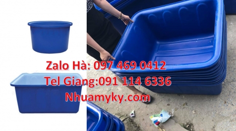 thùng đựng hạt nhựa Thùng chữ nhật Thùng nhựa 1700 lít, thùng nhựa chữ nhật 1250 lít, Thau