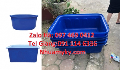 thùng đựng hạt nhựa Thùng chữ nhật Thùng nhựa 1700 lít, thùng nhựa chữ nhật 1250 lít, Thau