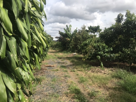 Tân Lạc- Bảo Lâm - Lâm Đồng