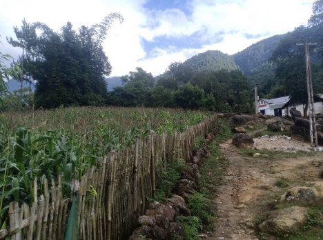 Y TÝ ( Sapa 2) Phìn Hồ- Y TÝ- Bát Xát- LC