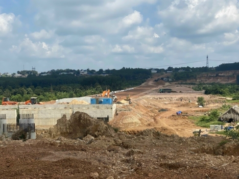 Gia đình đi nước ngoài nên bán lại mảnh vườn nhà trồng cây giá rẽ