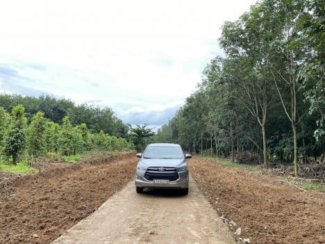 Đất Tân Lợi - Đồng Phú - Bình Phước