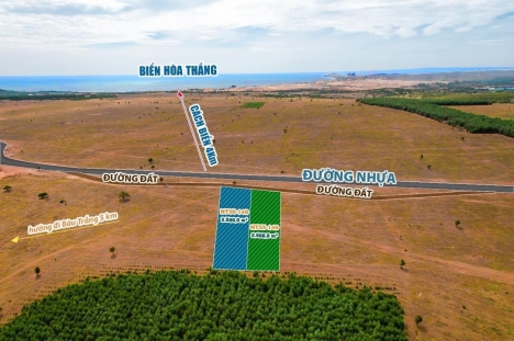 Cần bán nhanh 2 lô đất trồng cây lâu năm