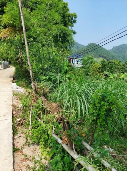 ĐẤT ĐẸP, MẶT BÁM ĐƯỜNG BÊ TÔNG TO, SAU LÀ NÚI, TRONG CÓ SUỐI, CÓ AO.