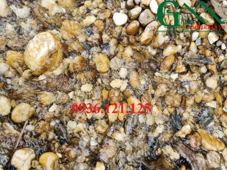 Sỏi trang trí sân vườn tiểu cảnh