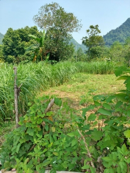 ĐẤT ĐẸP, MẶT BÁM ĐƯỜNG BÊ TÔNG TO, SAU LÀ NÚI, TRONG CÓ SUỐI, CÓ AO.