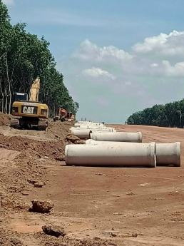 Gia đình đi nước ngoài nên bán lại mảnh vườn nhà trồng cây giá rẽ