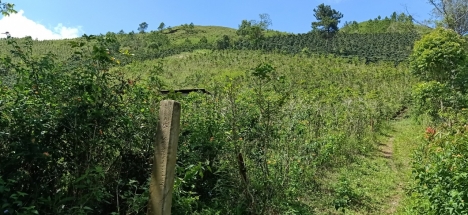 Cần tiền bán gấp lô đất view đẹp gần khu Vạn Xuân, Lạc Dương 4000m2