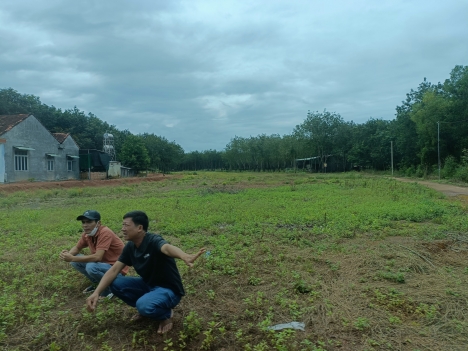 Đất chính chủ ngay khu công nghiệp Becamex Đồng Phú Bình Phước