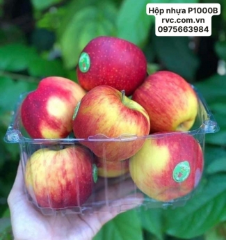 Mách bạn những mẫu hộp nhựa đựng táo phổ biến nhất hiện nay